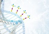 DNA methylation