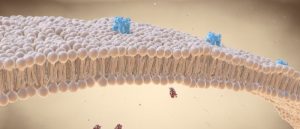 DNA nanostructures