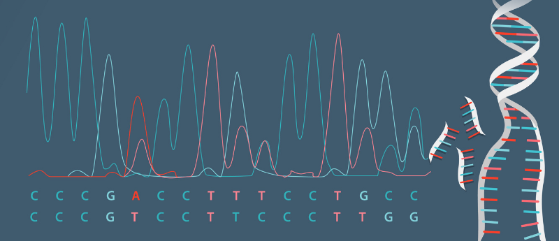 smertestillende medicin lektie Gud Infographic: Sanger sequencing vs NGS - BioTechniques