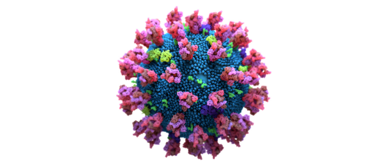 SARS-CoV-2 spike proteins