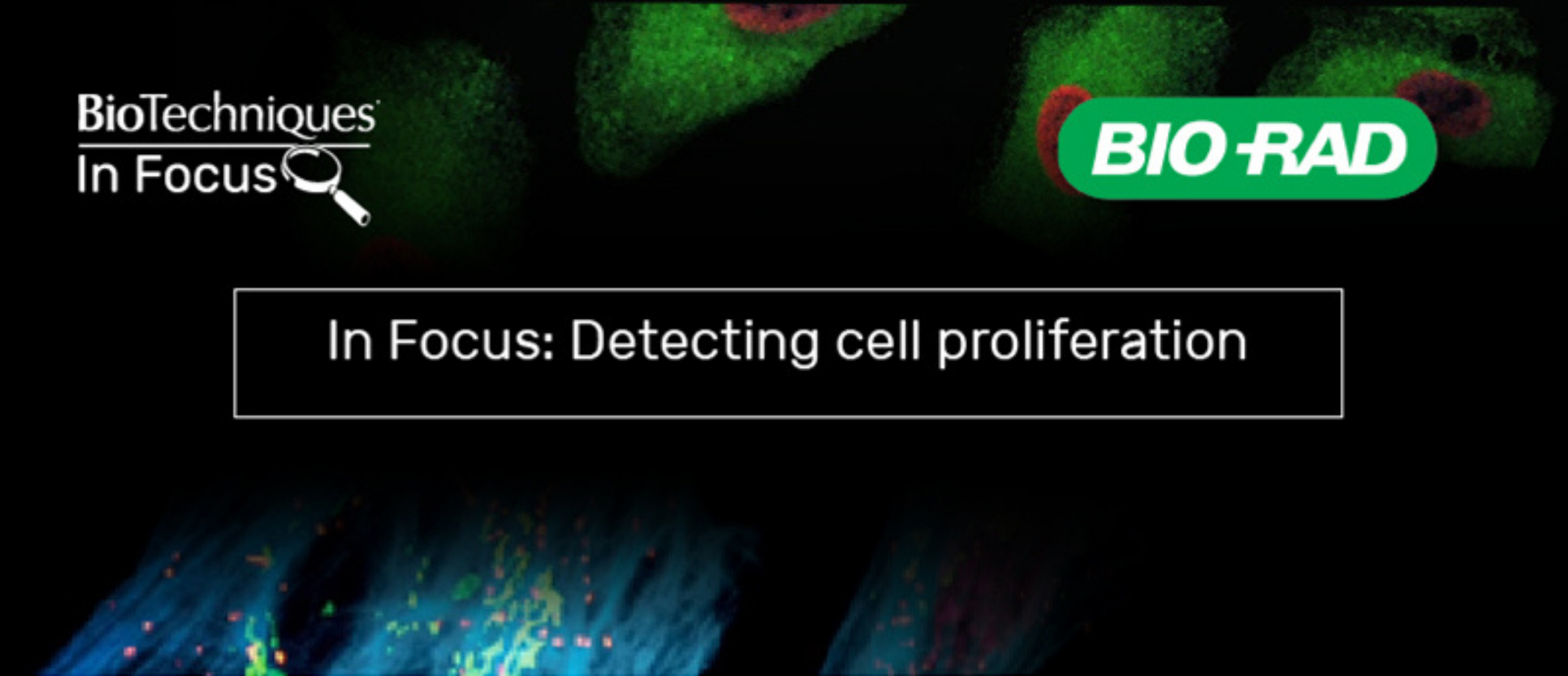 cell proliferation