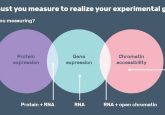 10x Single-cell infographic header