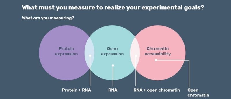 10x Single-cell infographic header