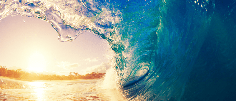 Newly discovered marine microbe contribute to carbon cycling - 