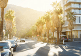 Palm Springs