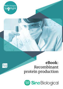 recombinant protein production eBook