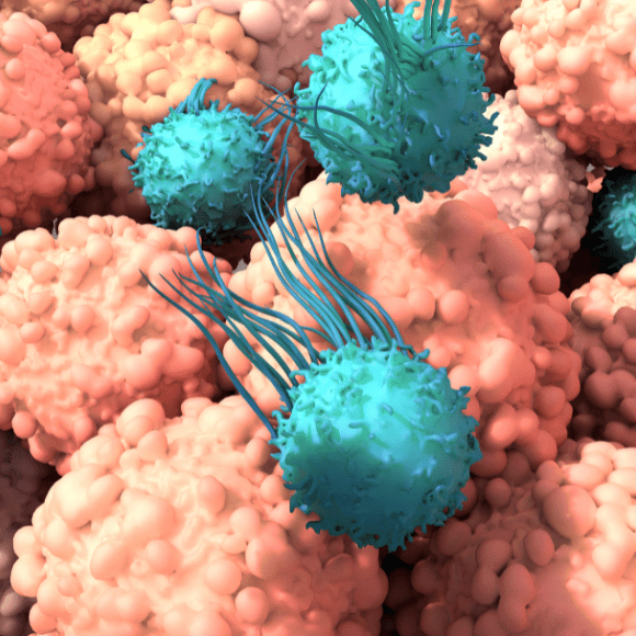 Could Off the Shelf CART be a Reality? BioTechniques