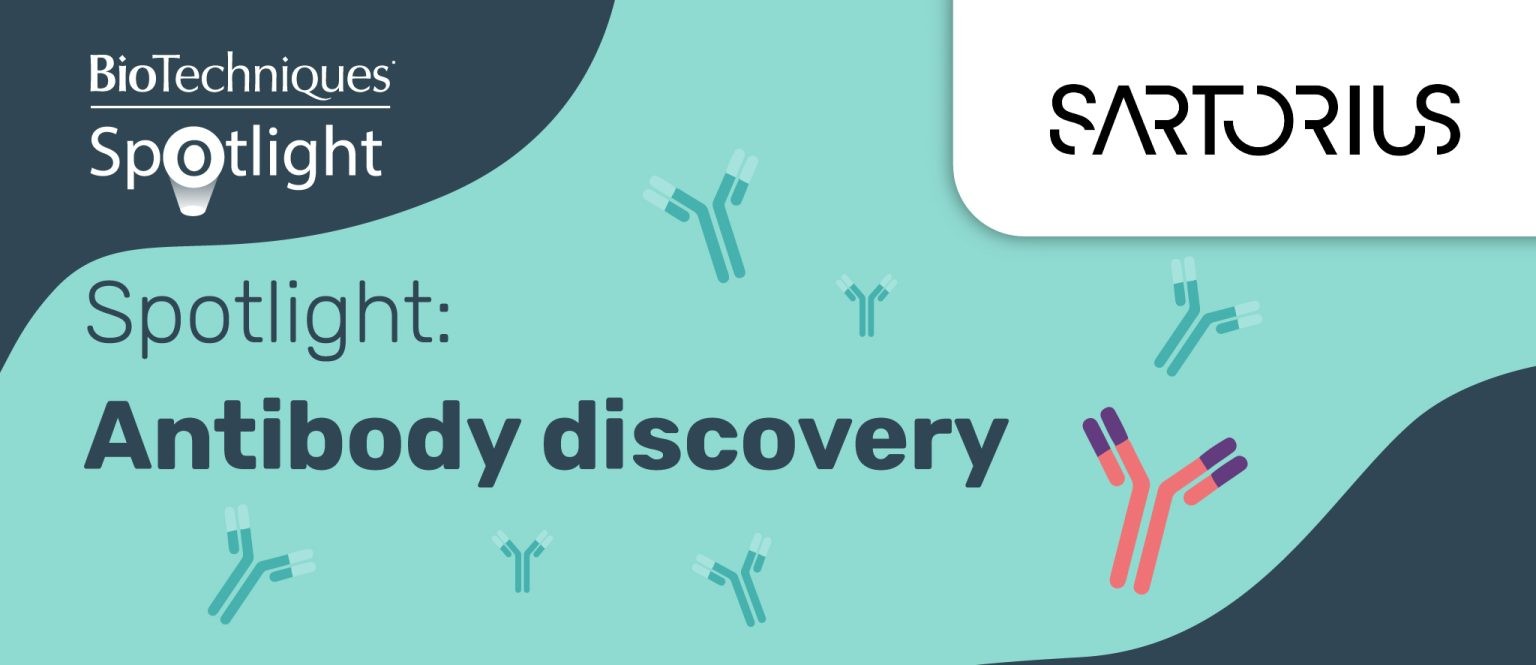 Spotlight Antibody Discovery BioTechniques