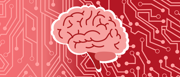Learning how network structure shapes decision-making for bio-inspired computing