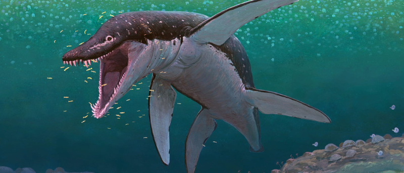 Pliosaur