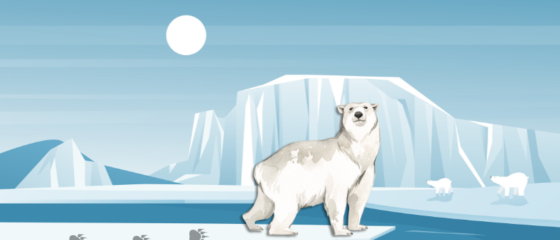 Polar bear