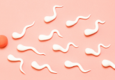 Sperm chasing egg