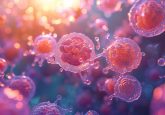tumor organoids for cancer research