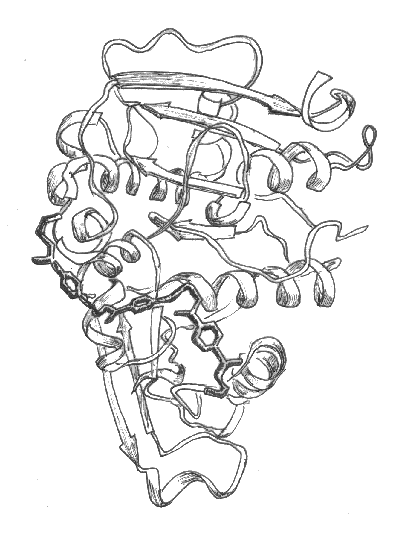 A black and white hand-drawn illustration of an engineered protein.