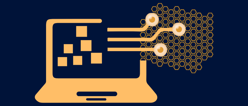 Mathematical modeling reveals the rules governing tissue organization