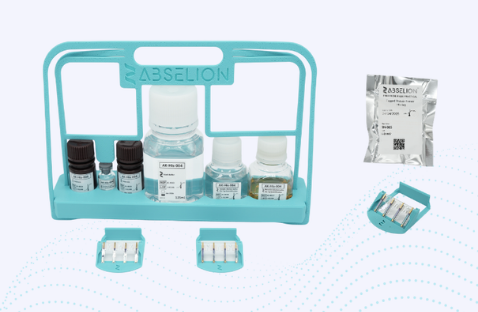 Abselion - His-tagged Protein Quantification Kit