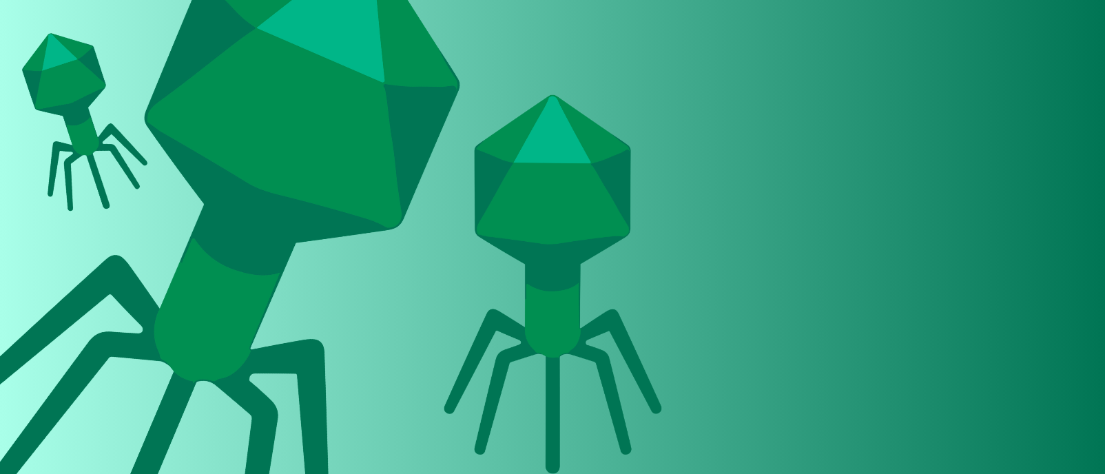 The first fully synthetic bacteriophage engineering system for Pseudomonas aeruginosa