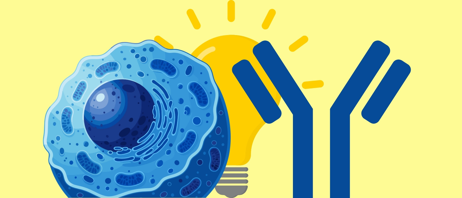 A 'lightbulb moment': AI-designed intrabody probes track activity inside living cells