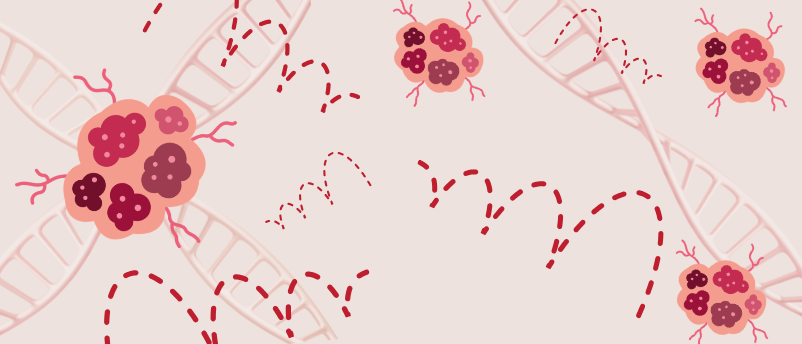 How jumping ‘DNA parasites’ destabilize the cancer genome