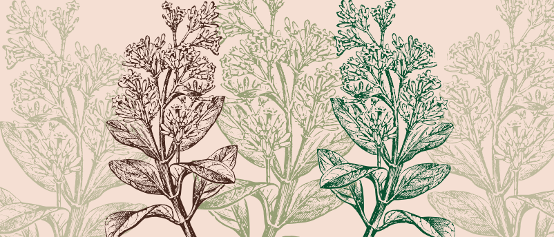 Quinine biosynthesis 100-year mystery finally solved