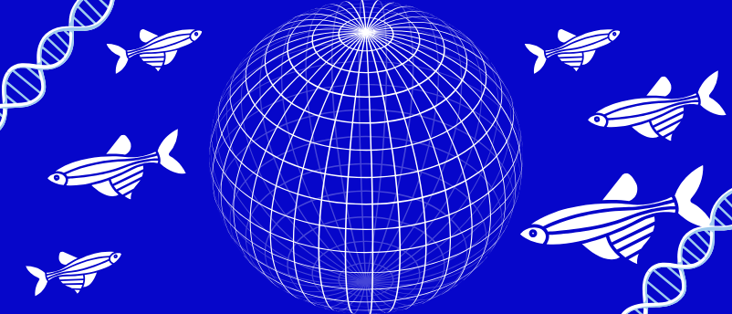 4D atlas of thousands of genes offers unparalleled insight into embryogenesis