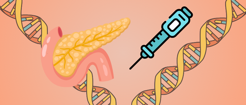 How GLP-1 agonists affect gene expression and promote pancreatic health