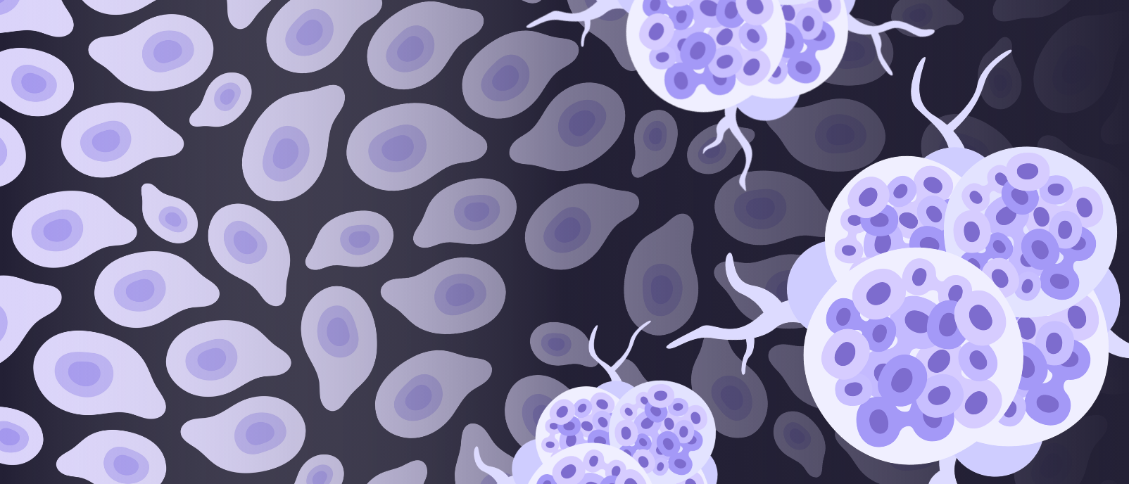 Uncovering the cellular origins of cancer and neurodevelopmental disease