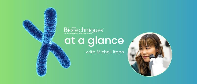 The journal at a glance: Q1 2026 highlights from our Editor in Chief