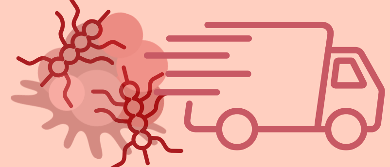 Bugs deliver drugs: weaponizing bacteria to target colorectal cancer therapy