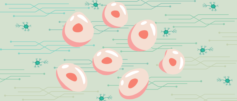 World-first living ‘robots’ develop functional nervous systems