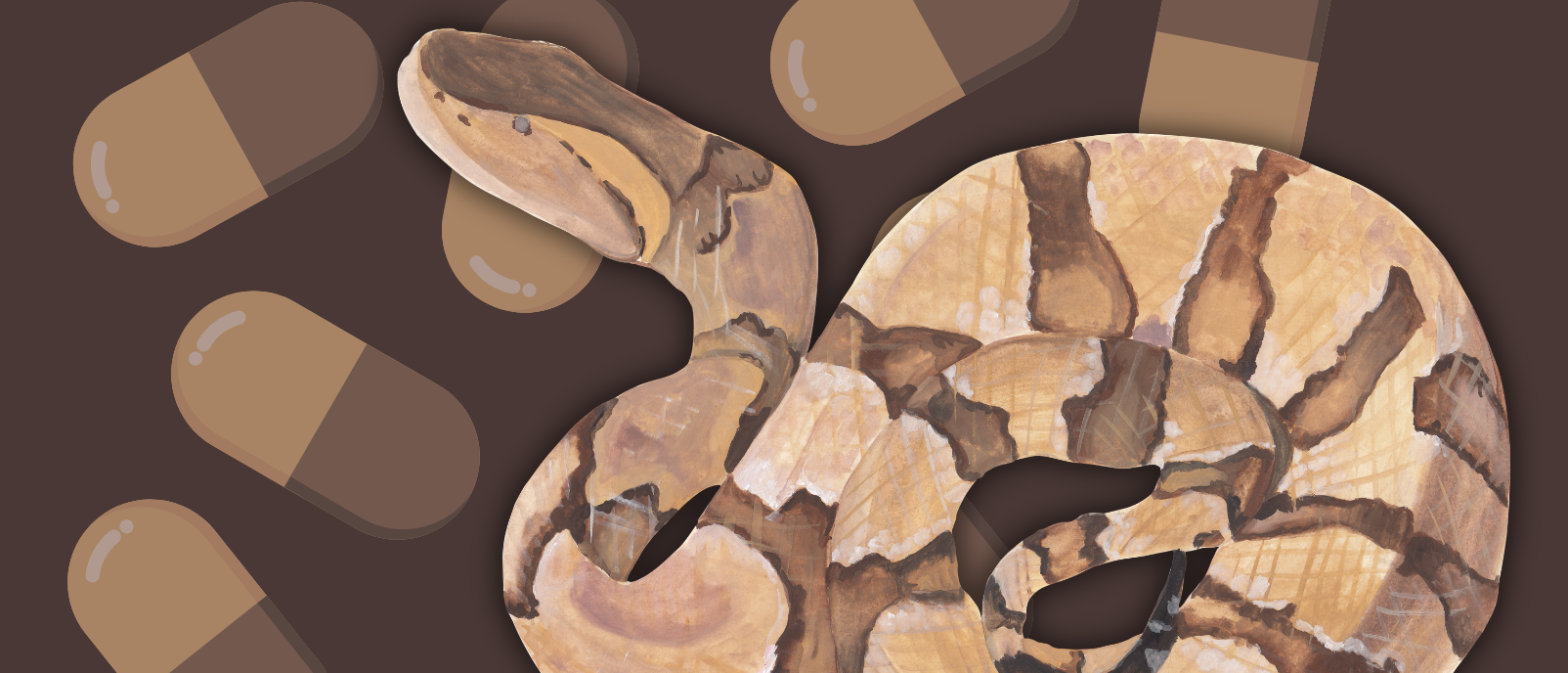 Should we be looking to snakes for the next weight-loss drug?