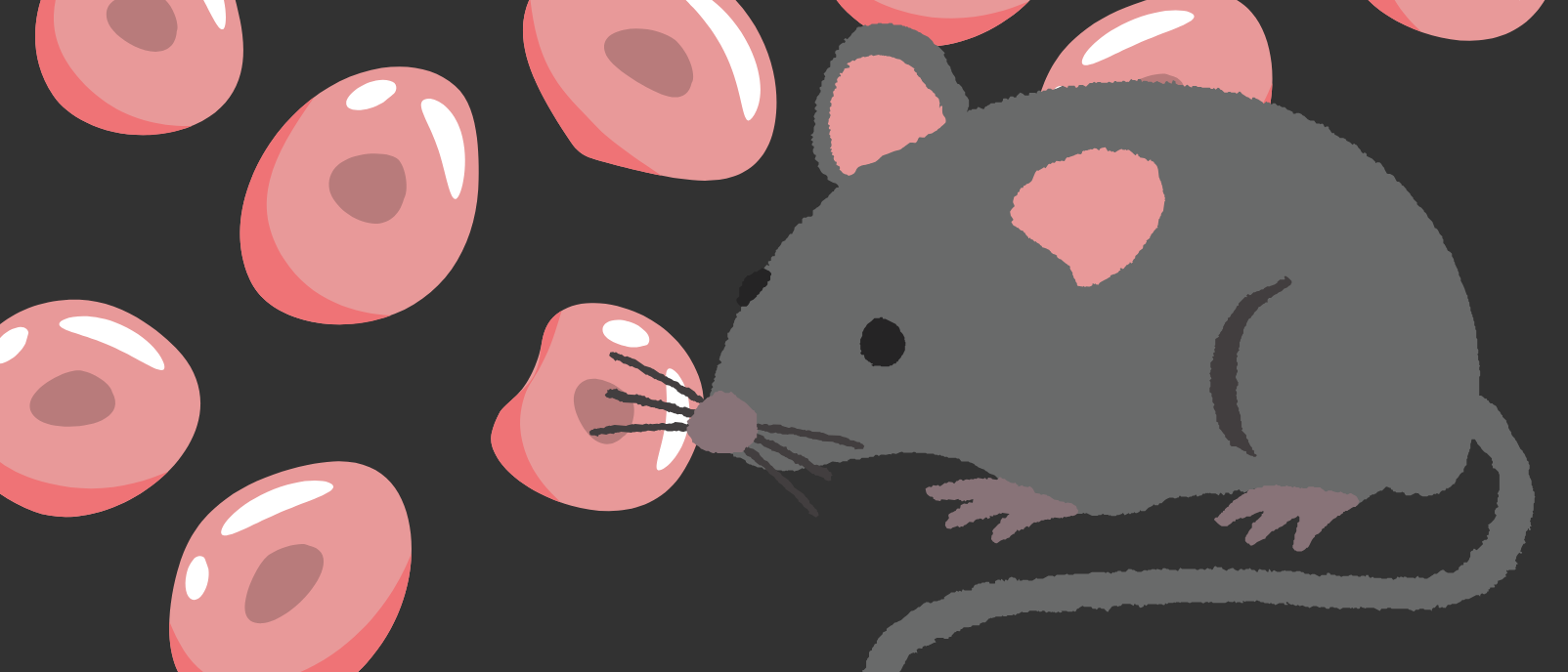 The Molecular Drivers Of Cell Aging - BioTechniques