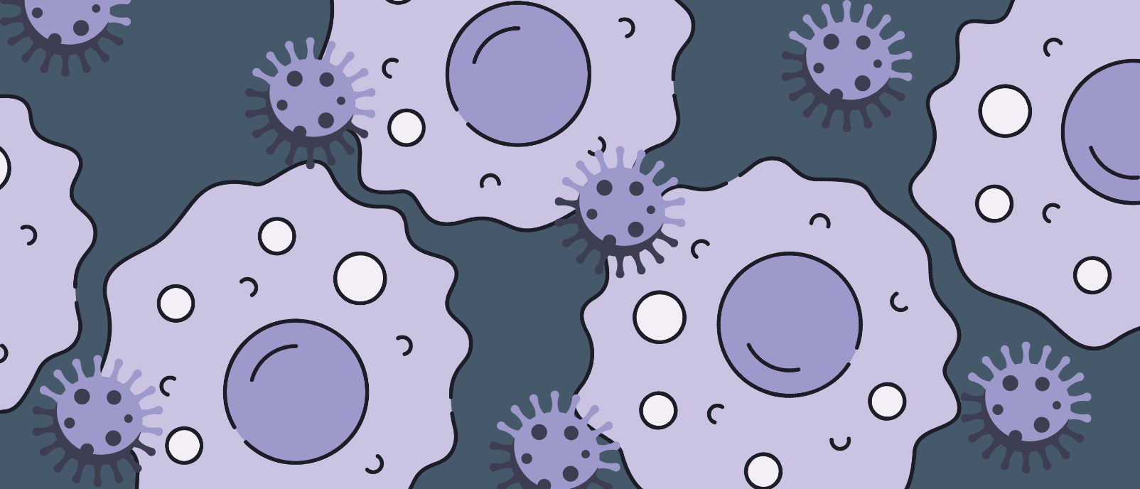 How does Marburg virus enter cells so efficiently?