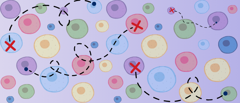 How aging reshapes the mammalian body: atlas of 7 million cells reveals all