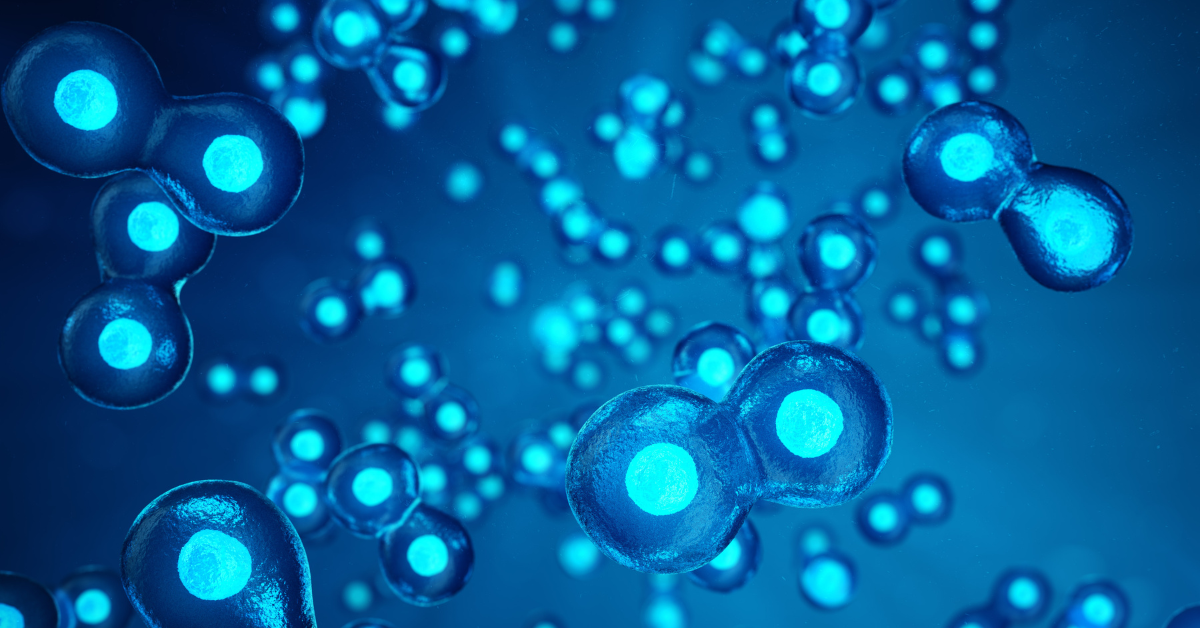 Facilitating rapid, accurate cell line development