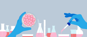 Advancing drug discovery with cell line development: past, present and future