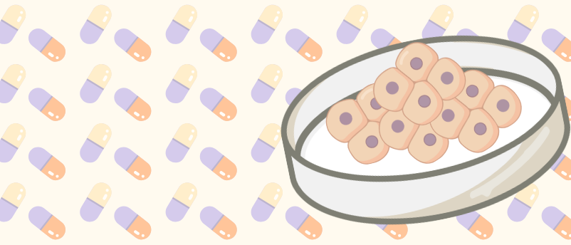 Advancing drug discovery with cell line development: past, present and future