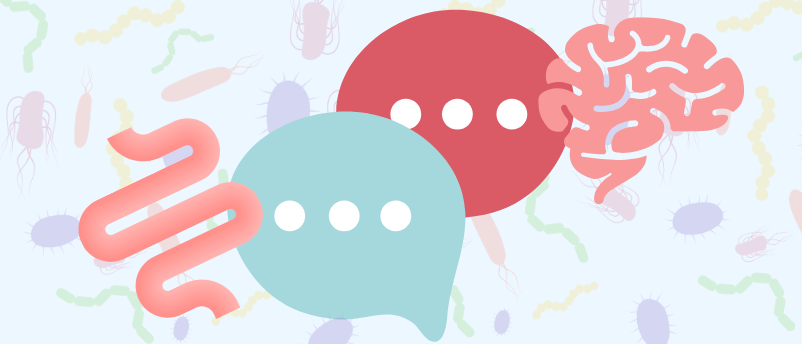 Go with your gut: exploring the microbiota–gut–brain connection