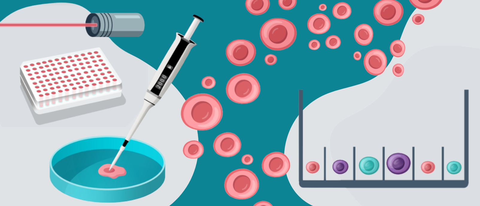 Infographic: Comparing approaches to achieve monoclonal cell lines