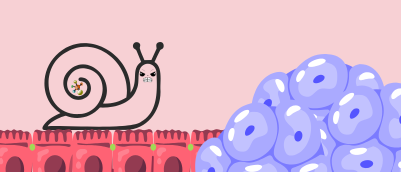 Snailing colorectal cancer drug delivery, once and for all