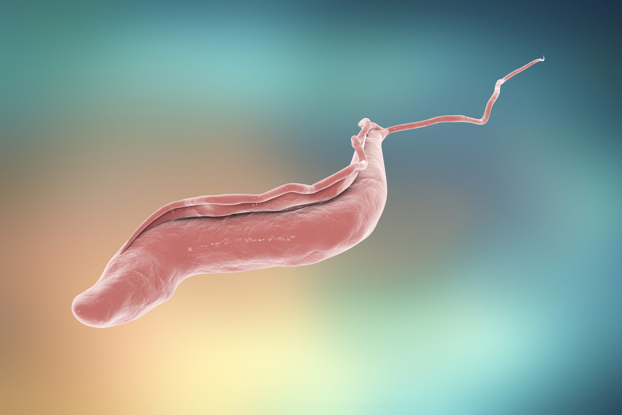 Human African trypanosomiasis – current treatments and the drug pipeline -  BioTechniques